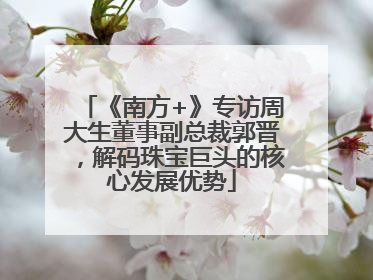 《南方+》专访周大生董事副总裁郭晋，解码珠宝巨头的核心发展优势