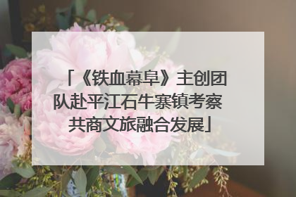《铁血幕阜》主创团队赴平江石牛寨镇考察 共商文旅融合发展
