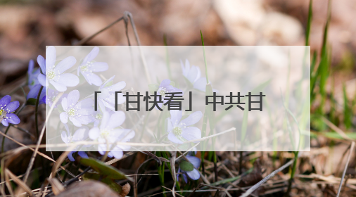 「甘快看」中共甘肃省委召开“深度挖掘历史文化资源服务甘肃高质量发展”专题协商座谈会 胡昌升主持并讲话