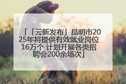 「云新发布」昆明市2025年将提供有效就业岗位16万个 计划开展各类招聘会200余场次