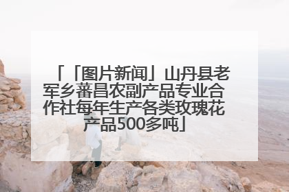 「图片新闻」山丹县老军乡蕃昌农副产品专业合作社每年生产各类玫瑰花产品500多吨