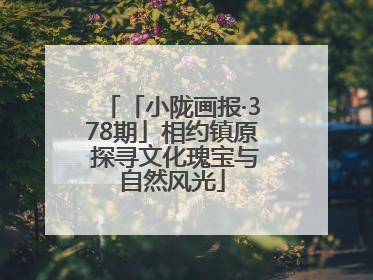 「小陇画报·378期」相约镇原 探寻文化瑰宝与自然风光