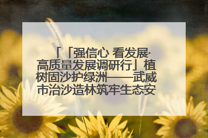 「强信心 看发展·高质量发展调研行」植树固沙护绿洲——武威市治沙造林筑牢生态安全屏障见闻
