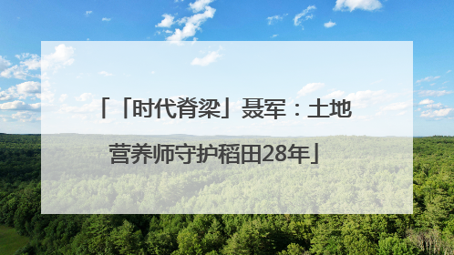 「时代脊梁」聂军：土地营养师守护稻田28年