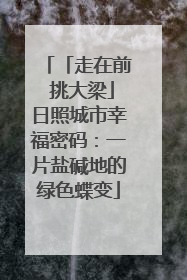 「走在前 挑大梁」日照城市幸福密码：一片盐碱地的绿色蝶变