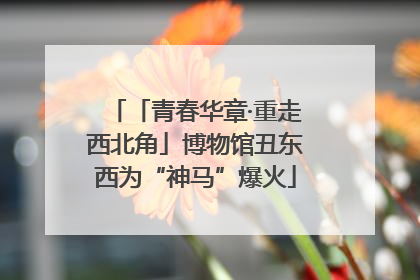 「青春华章·重走西北角」博物馆丑东西为“神马”爆火