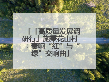 「高质量发展调研行」施秉花山村：奏响“红”与“绿”交响曲