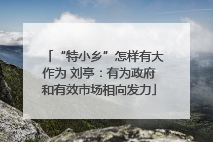 “特小乡”怎样有大作为 刘亭：有为政府和有效市场相向发力