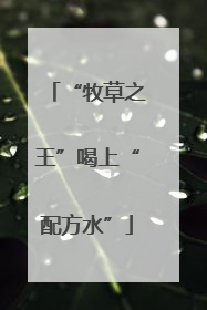 “牧草之王”喝上“配方水”