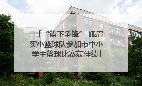 “篮下争锋” 峨眉实小篮球队参加市中小学生篮球比赛获佳绩