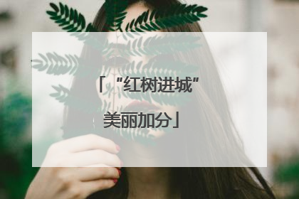 “红树进城” 美丽加分