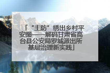 “主防”绣出乡村平安图——解码甘肃省高台县公安局罗城派出所基层治理新实践