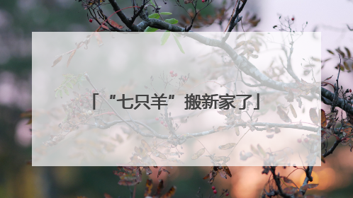 “七只羊”搬新家了