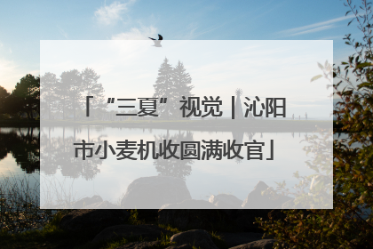“三夏”视觉｜沁阳市小麦机收圆满收官