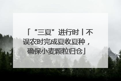 “三夏”进行时丨不误农时完成夏收夏种，确保小麦颗粒归仓