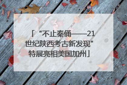 “不止秦俑——21世纪陕西考古新发现”特展亮相美国加州