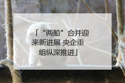 “两船”合并迎来新进展 央企重组纵深推进