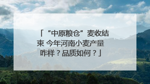 “中原粮仓”麦收结束 今年河南小麦产量咋样？品质如何？
