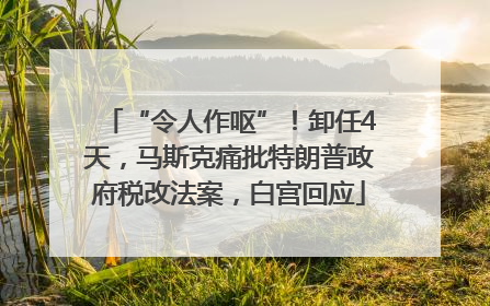 “令人作呕”！卸任4天，马斯克痛批特朗普政府税改法案，白宫回应