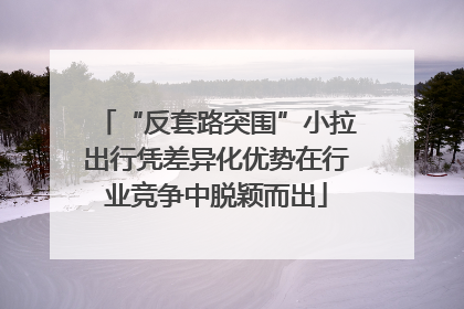 “反套路突围”小拉出行凭差异化优势在行业竞争中脱颖而出