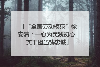 “全国劳动模范”徐安清：一心为民践初心 实干担当铸忠诚