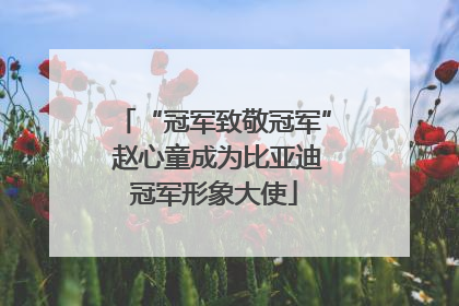 “冠军致敬冠军” 赵心童成为比亚迪冠军形象大使
