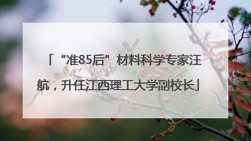 “准85后”材料科学专家汪航，升任江西理工大学副校长