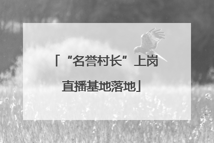 “名誉村长”上岗 直播基地落地