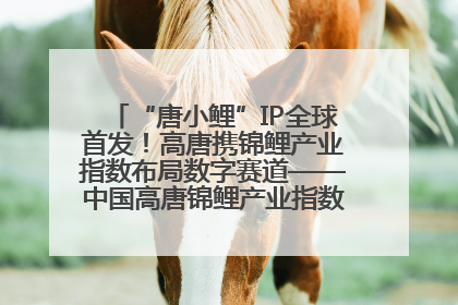 “唐小鲤”IP全球首发！高唐携锦鲤产业指数布局数字赛道——中国高唐锦鲤产业指数暨“唐小鲤”IP全球首发仪式在杭州举行