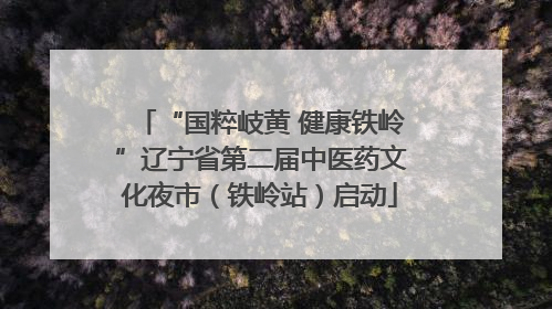 “国粹岐黄 健康铁岭”辽宁省第二届中医药文化夜市（铁岭站）启动