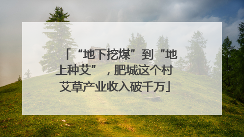 “地下挖煤”到“地上种艾”，肥城这个村艾草产业收入破千万