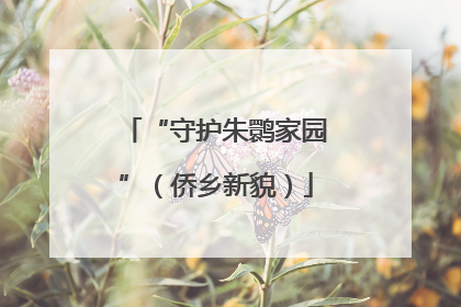 “守护朱鹮家园”（侨乡新貌）