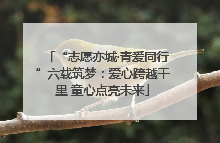 “志愿亦城·青爱同行”六载筑梦：爱心跨越千里 童心点亮未来