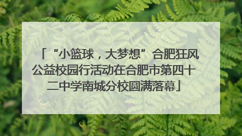 “小篮球，大梦想”合肥狂风公益校园行活动在合肥市第四十二中学南城分校圆满落幕