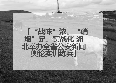“战味”浓、“硝烟”足、实战化 湖北举办全省公安新闻舆论实训练兵