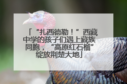 “扎西德勒！”西藏中学的孩子们遇上藏族同胞，“高原红石榴”绽放荆楚大地