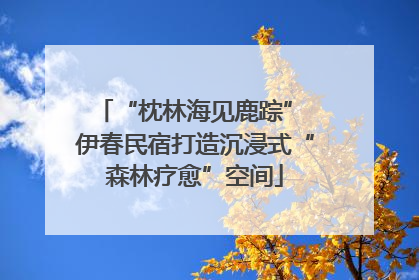“枕林海见鹿踪” 伊春民宿打造沉浸式“森林疗愈”空间