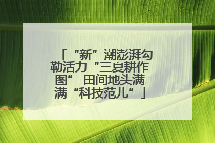 “新”潮澎湃勾勒活力“三夏耕作图” 田间地头满满“科技范儿”