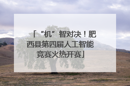“机”智对决！肥西县第四届人工智能竞赛火热开赛