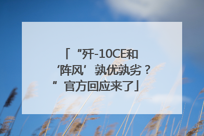 “歼-10CE和‘阵风’孰优孰劣？”官方回应来了