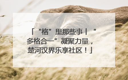 “格”里那些事丨“多格合一”凝聚力量，楚河汉界乐享社区！