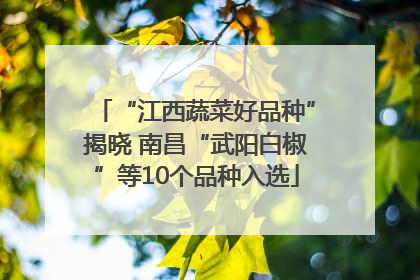 “江西蔬菜好品种”揭晓 南昌“武阳白椒”等10个品种入选