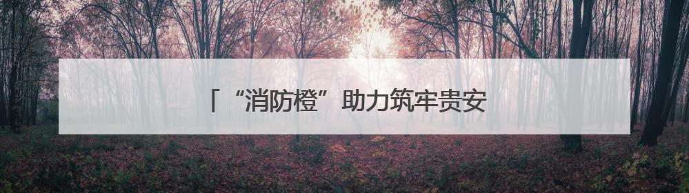 “消防橙”助力筑牢贵安新区高质量发展安全防线