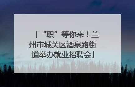 “职”等你来！兰州市城关区酒泉路街道举办就业招聘会