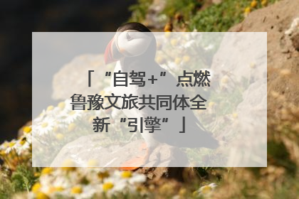 “自驾+”点燃鲁豫文旅共同体全新“引擎”