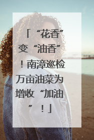 “花香”变“油香”！南漳巡检万亩油菜为增收“加油”！