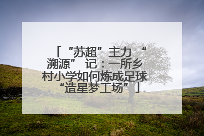 “苏超”主力 “溯源” 记：一所乡村小学如何炼成足球 “造星梦工场”