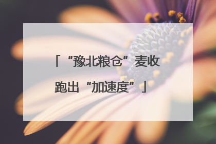 “豫北粮仓”麦收跑出“加速度”