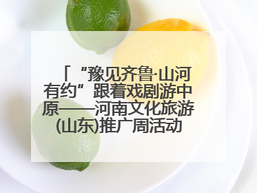 “豫见齐鲁·山河有约”跟着戏剧游中原——河南文化旅游(山东)推广周活动走进济南