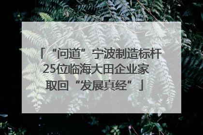 “问道”宁波制造标杆 25位临海大田企业家取回“发展真经”